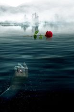 Una rosa para su tumba