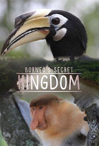 Borneo'nun Kayıp Krallığı: Tuha