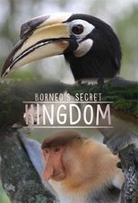 Borneo'nun Kayıp Krallığı: Tuha