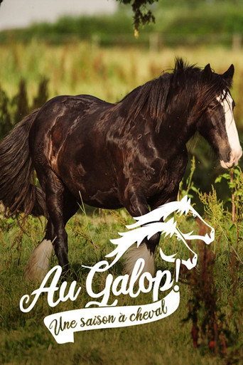 Au galop ! Une saison a cheval 6