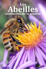Les abeilles, sentinelles de la planete