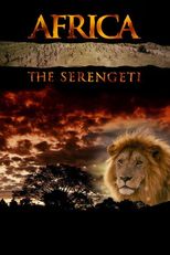 Afrika'da Serengeti