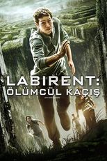Więzień labiryntu