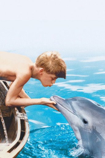 Mój przyjaciel delfin