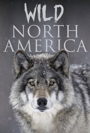 Nord America selvaggio