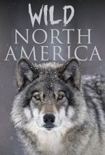 Nord America selvaggio