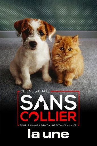 Chiens et chats sans collier