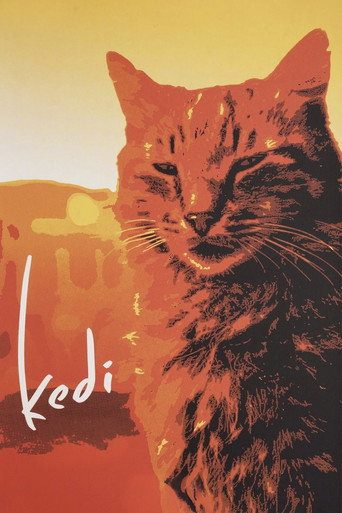 Kedi