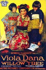 Yabancı Sinema: Söğüt Ağacı (Th