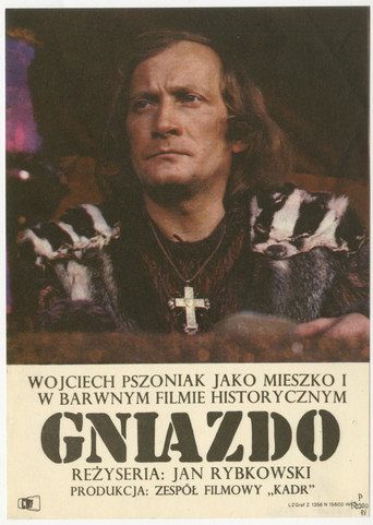 Gniazdo