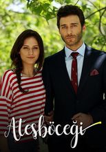 Ateşböceği - Benim Bu Küçük Işığım