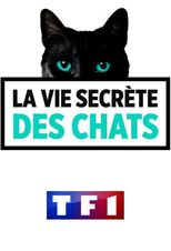 LA VIE SECRÈTE DES CHATS