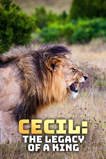 Cecil: Bir Kralın Mirası