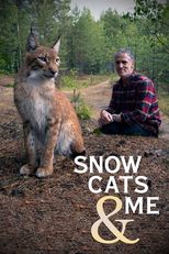 Les bébés lynx et moi